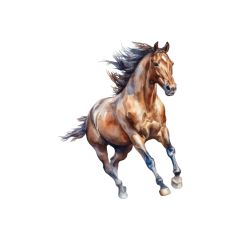 うっちーさんのアイコン