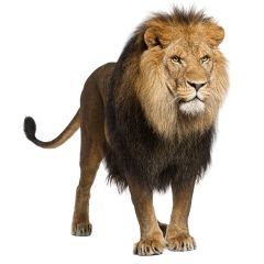 ゆかかさんのアイコン